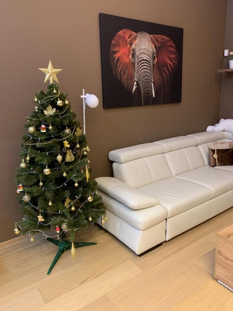 Apartment Dagmar Buresove 프라하 외부 사진